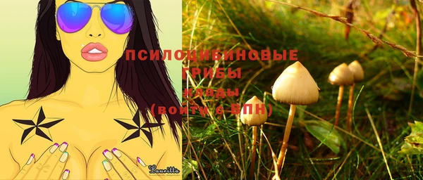твердый Алексеевка