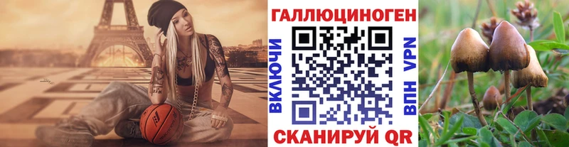 сайты даркнета официальный сайт  Киров  Псилоцибиновые грибы Cubensis  блэк спрут маркетплейс 