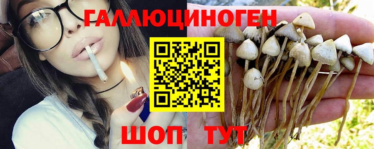Псилоцибиновые грибы мицелий  Вход с VPN  Киров  Галлюциногенные грибы прущие грибы 