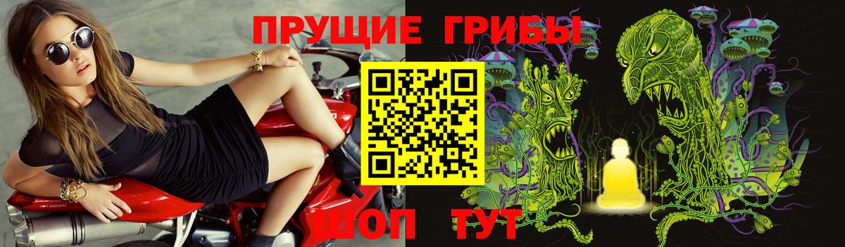 Псилоцибиновые грибы Cubensis Киров